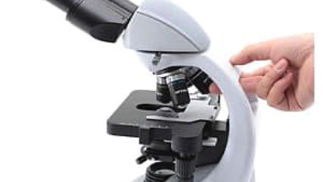 Microscope binoculaire